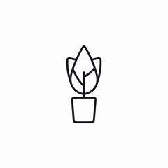 decoration plant icon sign vector