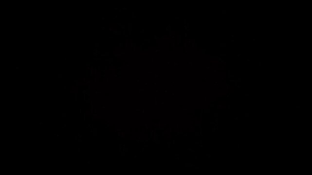 Red, Pink, Ruby Glitter Particles Instant Stream Loop Background Alpha Channel V02