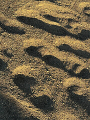 Footprints in Soil