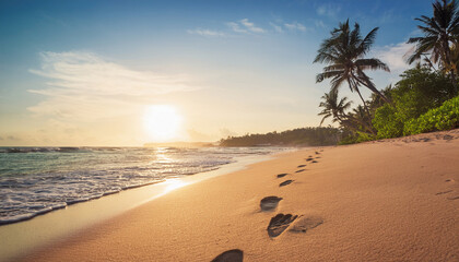 footprints in sand at tropical beach with palm trees low angle view warm light serene coastal scene vacation destination