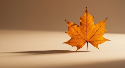 Single Autumnal Maple Leaf, Illuminated, Casting Shadow, Against Warm Neutral Background