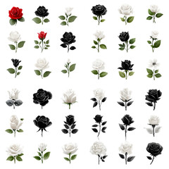 Elegant Black and White Rose Illustrations with Minimalist Floral Design, Vintage Tattoo Style, and Modern Botanical Aesthetics for Art and Decoration.