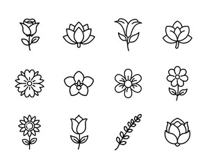 Minimalist floral icon set featuring tulip, rose, sunflower, daisy, lily, orchid, and more in clean line art style for botanical and nature designs