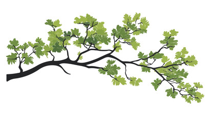 Majestic Tree Branch Silhouette Close-Up