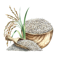Wooden dishes with rice and rice stalks. Hand-drawn watercolor illustration. Used for menu design, recipes, and cookbooks. Used for banners, flyers, packaging, labels, and more.