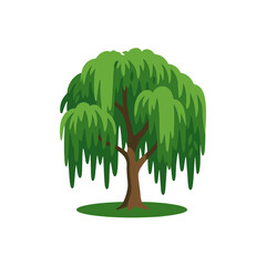 tree Willow illustration vector on white background
Vector illustration on white background flowers