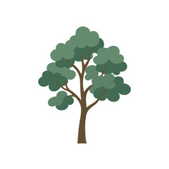 tree Eucalyptus illustration vector on white background
Vector illustration on white background flowers