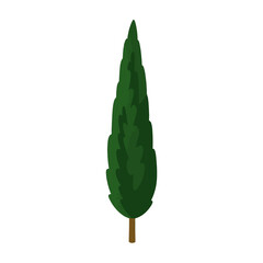 tree Cypress illustration vector on white background
Vector illustration on white background flowers