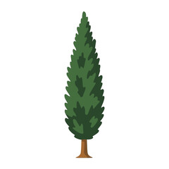 tree thuja illustration vector on white background
Vector illustration on white background flowers