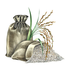 Closed and open burlap bags for rice with a rice spike next to them. Hand-drawn watercolor illustration. Element of menu design, recipes, and cookbooks. For banners, flyers, packaging, labels and more