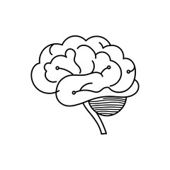 Simple outline of a human brain in vector style, focused on clean anatomical form for science and AI projects.