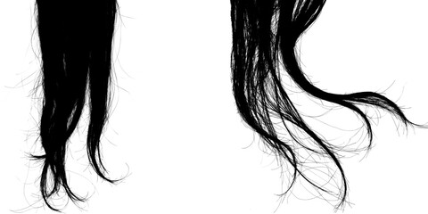 Black Hair With Silky Texture Blowing in Wind in Long Wig Shape From Female Hairstyle Collection Isolated on a Transparent or White Background