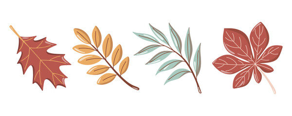 Autumn leaves set with maple, chestnut and botanical branches. Vector isolated illustration on white background. © JanelipArt
