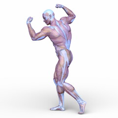 ポーズをとる男性　3DCGレンダリング