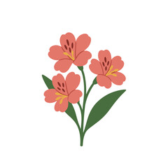 flowers Alstroemeria illustration vector on white background
Vector illustration on white background flowers