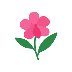 flowers Balsam illustration vector on white background
Vector illustration on white background flowers