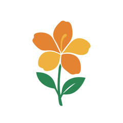 flowers Crossandra illustration vector on white background
Vector illustration on white background flowers