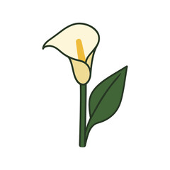 flowers calla illustration vector on white background
Vector illustration on white background flowers