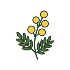 flowers Mimosa illustration vector on white background
Vector illustration on white background flowers