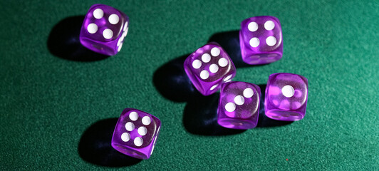 Purple dices on green background
