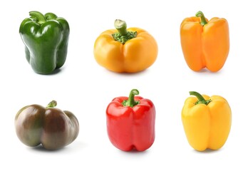 Set of different bell peppers on white background