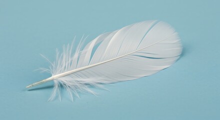 Obraz premium Feather in Soft Light: A delicate, pristine white feather gracefully rests against a pale blue background, conveying the essence of purity, freedom, and gentle softness.
