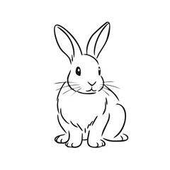 Obraz premium Charming Seated Rabbit Outline Drawing Minimalist Line Art Illustration Simple Sketch Style