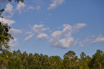 White and grey clouds floating in a blue summer sky!