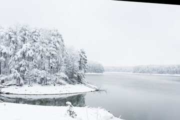 winter landscape with trees