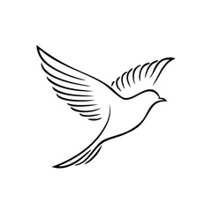 Obraz premium Outline of a bird in flight with wings spread, symbolizing peace and freedom.
