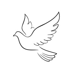 Fototapeta premium Elegant Dove Illustration Symbol of Peace Flying with Graceful Wings in Artistic Line Drawing