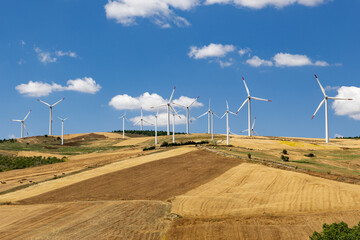 Italy. Apulia. Wind turbines on hills with fields and trees.