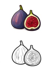 Fresh Figs: Whole and Halved Illustration