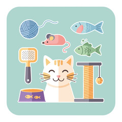Illustration of a cat with toys and accessories on a light blue background.