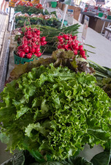 Views Around the Jean Talon Market in Montreal Canada