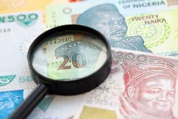 Nigerian naira currency money bills and magnifying glass. The concept of financial monitoring and...
