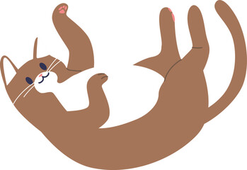 Lazy cat pet animal vector illustration
