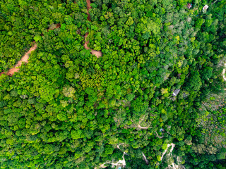 High angle view mountains rainforest green background