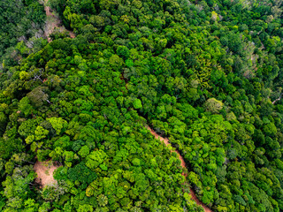 High angle view mountains rainforest green background
