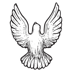 Obraz premium Dynamic Hand-Drawn Flying Dove for Peaceful Artworks