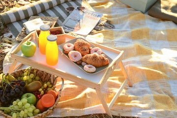 Picnic with tasty food and juice in field at sunset, closeup