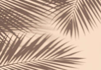 Fototapeta premium Tropical Palm Shadows and Textures Minimal Aesthetic