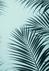 Fototapeta premium Tropical Palm Shadows and Textures Minimal Aesthetic