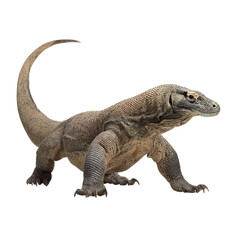 Obraz premium Png of A detailed view of a Komodo dragon showcasing its textured skin and powerful build, evoking a sense of ancient majesty.