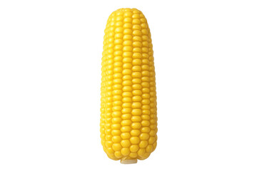 Ripened corn cob highlighting golden kernels with detailed texture against clean transparent surface, representing agricultural harvest and fresh produce quality