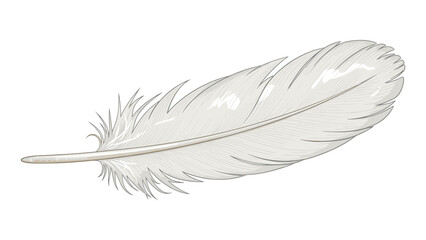 Obraz premium Detailed illustration of a delicate white feather for artistic projects and designs