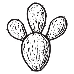 Unique Hand-Drawn Prickly Pear Cactus for Creative Projects