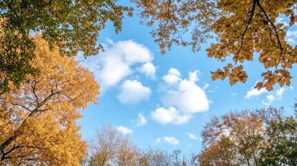 Fototapeta premium Autumn leaves frame a vibrant blue sky