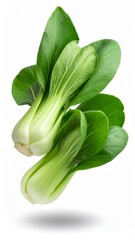 Artistic presentation of Fresh Bok Choy vegetables with a clean studio ambiance