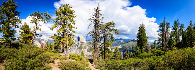 Serene Forest Scenery, Nature Beauty, Outdoor Recreation